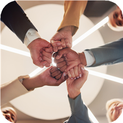 Social Inclusion